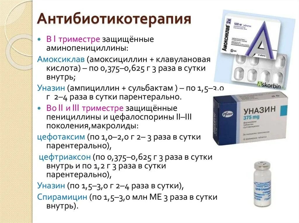 Амоксиклав при инфекции. Амоксиклав при инфекции