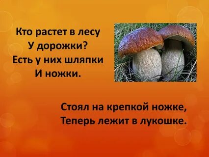 Стоял на крепкой ножке теперь лежит