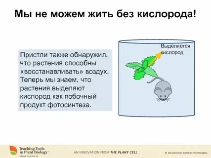Существа без воздуха
