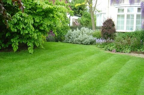 Grass well