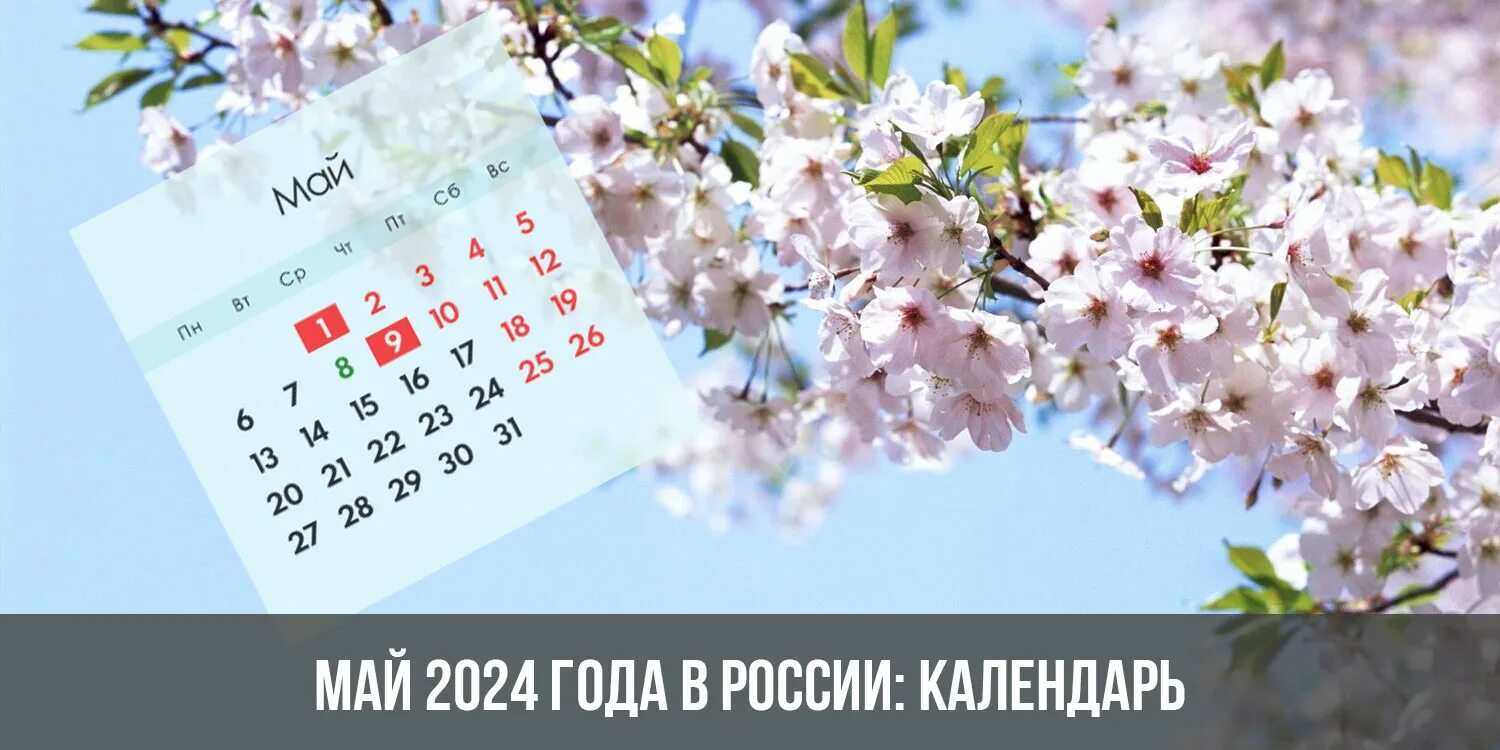 Выходные в мае 2024 пенза