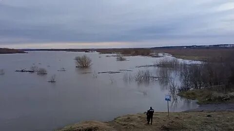 Паводок на оке 2024