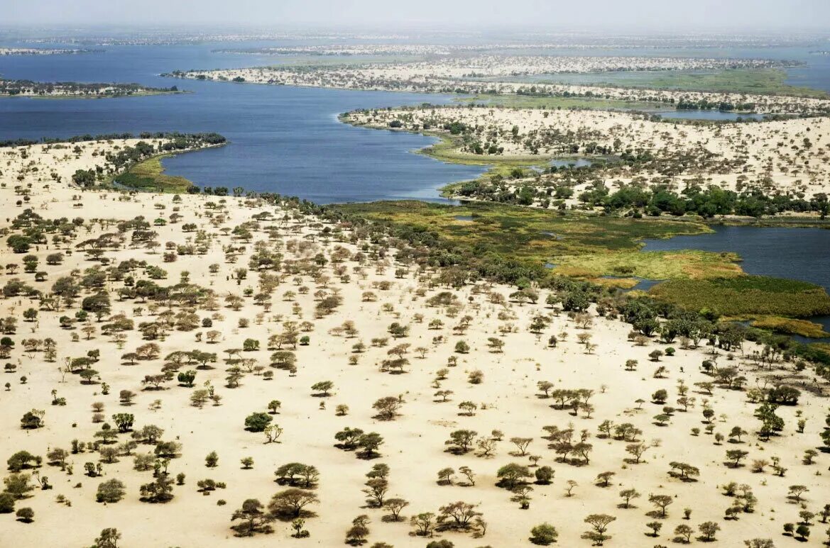 Чад страна википедия. Озеро Чад в Африке. Камерун озеро Чад. Пересыхание озера Чад. Нигер озеро Чад.