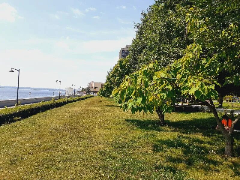 городской смотритель