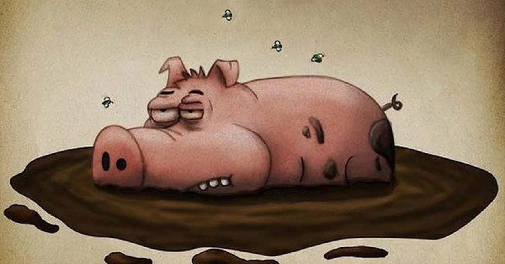 Свинка говорит. Свинья. Смешные свиньи. Свинья рисунок.
