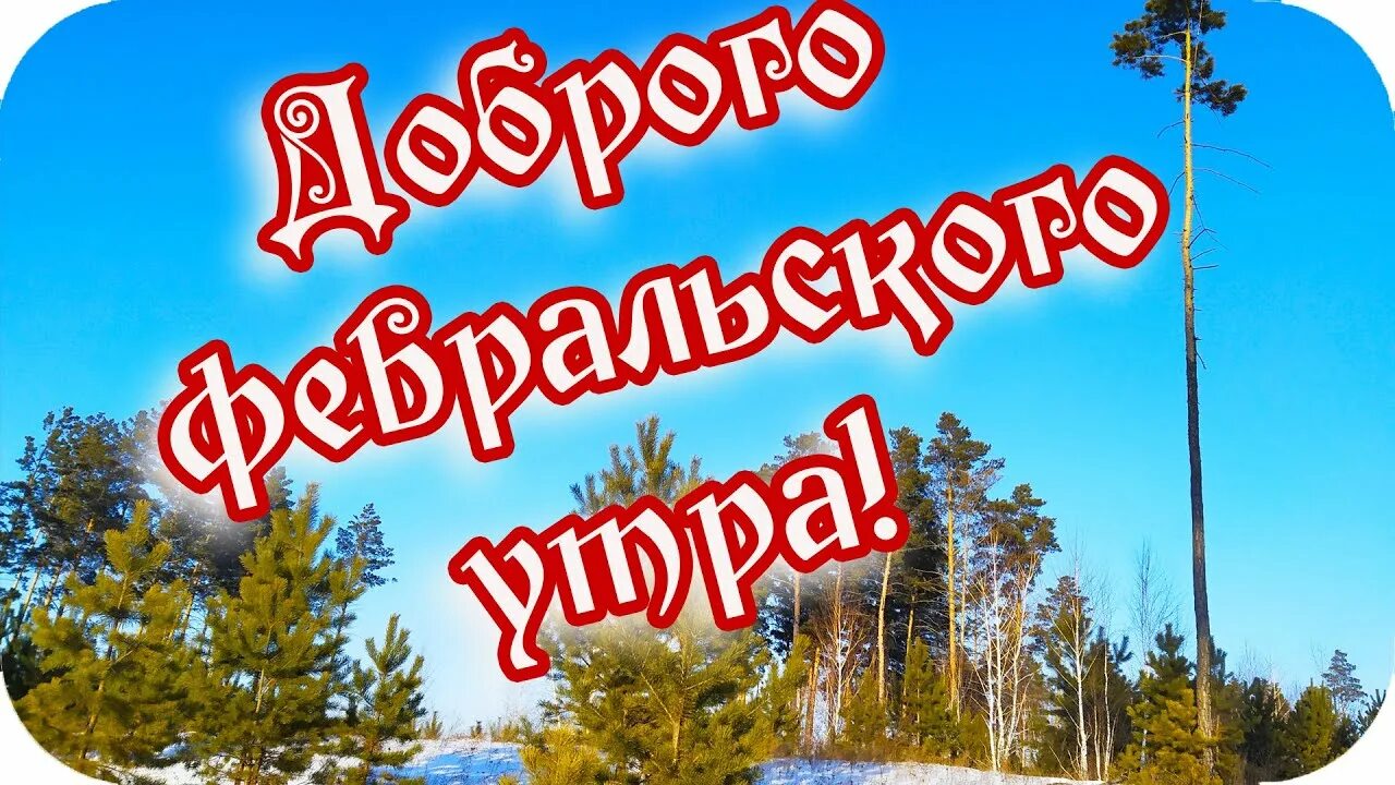 С добрым февральским утром здоровья добра. С добрым февральским утром. С февральский утром добрым февральским утром.