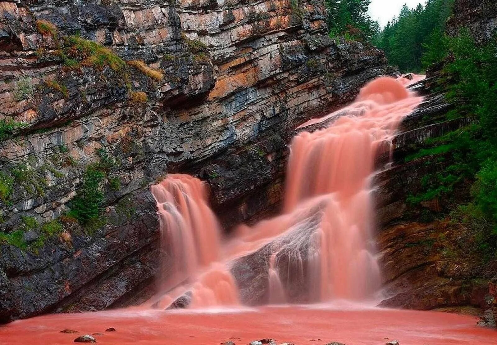 Страна многих вод. Водопад Кэмерон. Водопад Кэмерон Канада. Уотертон-Лейкс водопад. Розовый водопад Камерон (Канада).