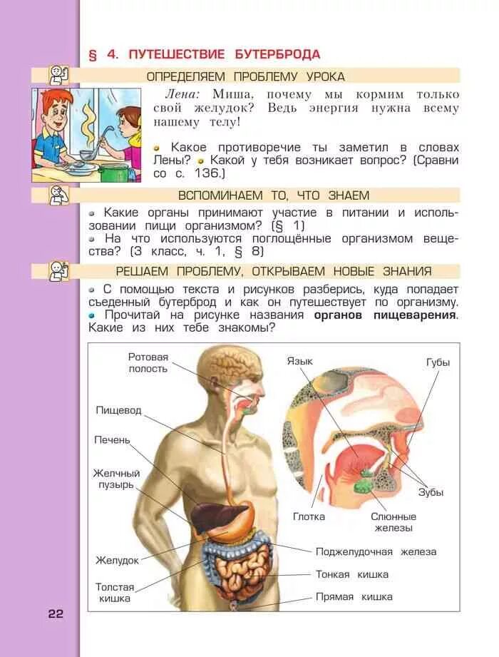 Части тела человека окружающий мир 4 класс. Строение тела человека 2 класс окружающий мир рабочая тетрадь. Анатомия человека 4 класс. Тело человека 4 класс окружающий мир. Системы органов человека 4 класс.