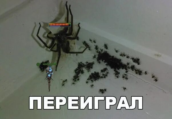 Переиграл и уничтожил. Мемы про бруду. переиграл переигрывание мем. я переиграл твоё переигрывание. переиграл и уничтожил прикол.