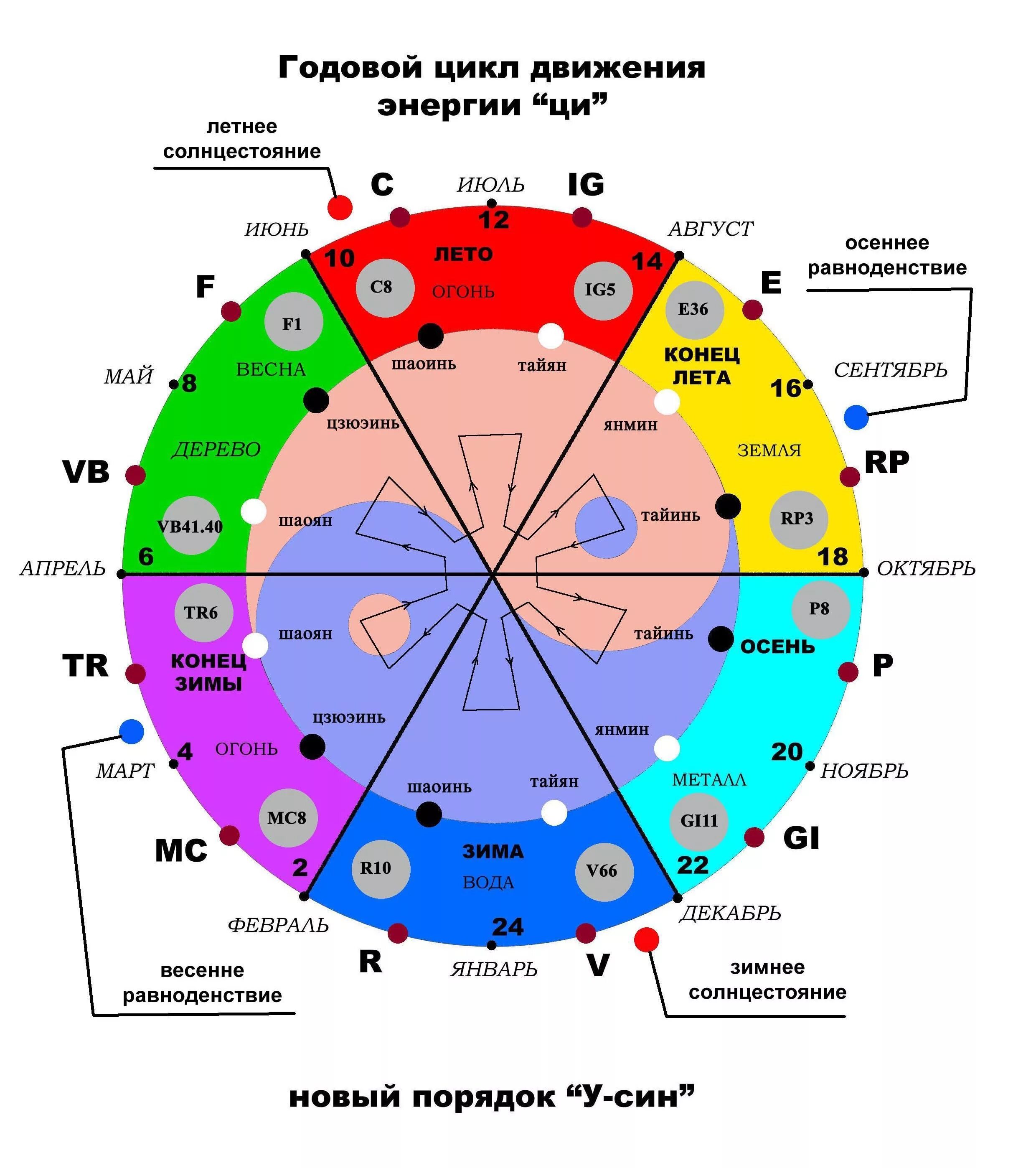 Круг часы работы. Цикл Усин 12 меридианов. Круг Усин по часам активности меридианов. Таблица китайских меридианов. Годовой цикл энергии Ци.