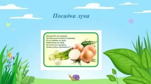 Тема посадки