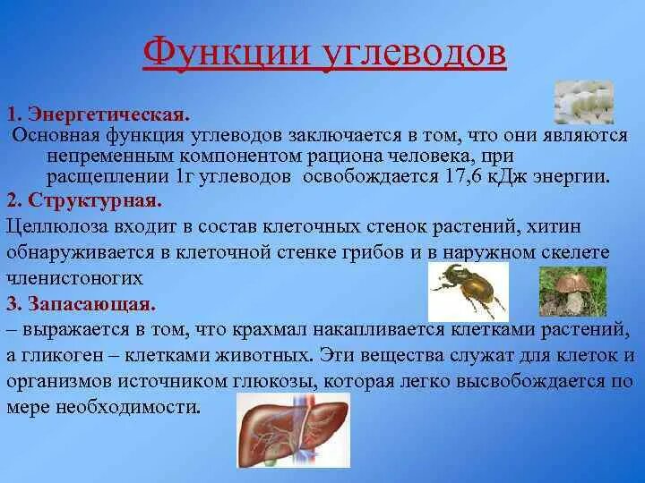 Укажи функции углеводов. Энергетическая функция углеводов. Основная функция углеводов. Главная функция углеводов энергетическая. Функции углеводов у человека.