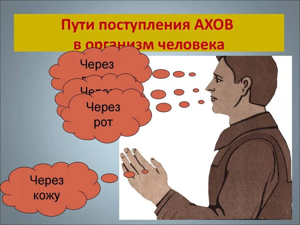 Человек проник на пути. Пути поступления ахов в организм человека. пути проникновения ахов в организм человека. пути попадания ахов в организм человека. способы попадания ахов в организм человека.
