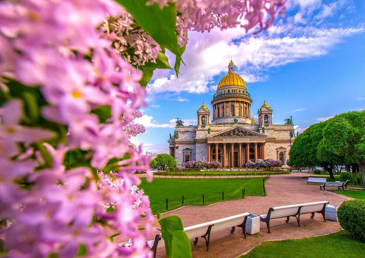 Выходного дня спб