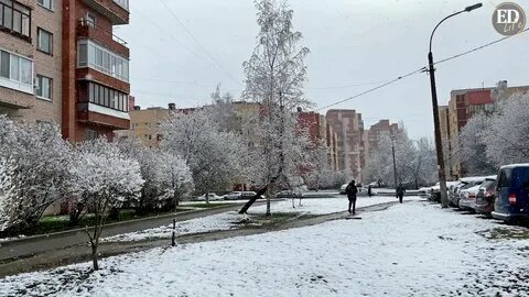 Зима 216