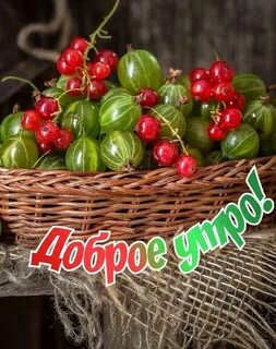 Фрукты доброе утро надпись