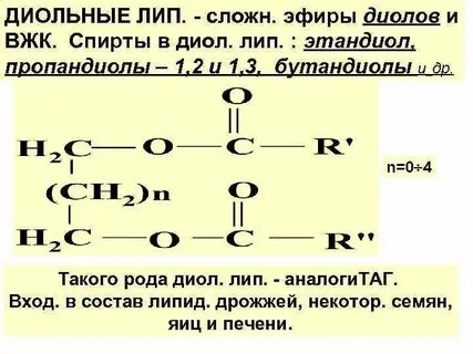 Сложный эфир этиленгликоля