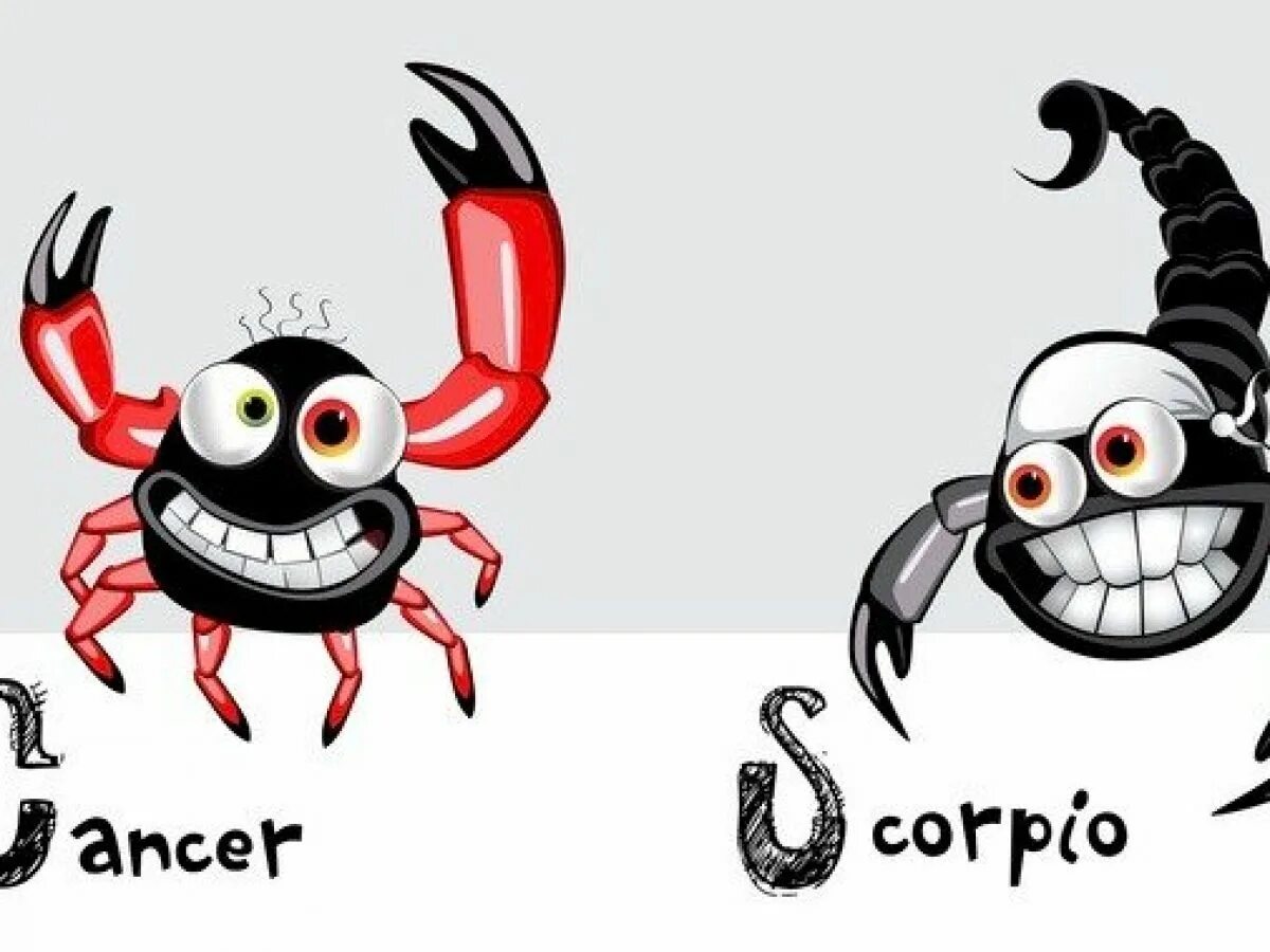 Cancer and Scorpio. Скорпион и остальные знаки. Scorpio people. Wednesday's Scorpion.