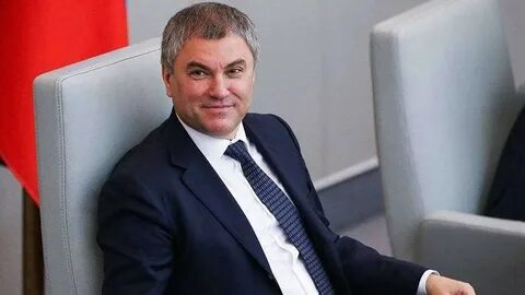 Володин нетрадиционная ориентация спикер госдумы