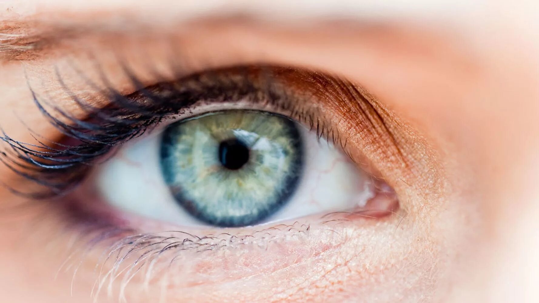 Глаз т в. Гигиена органов зрения. Здоровые глаза. Зрительная гигиена глаз. Личная гигиена органов зрения.