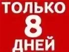 8 дней