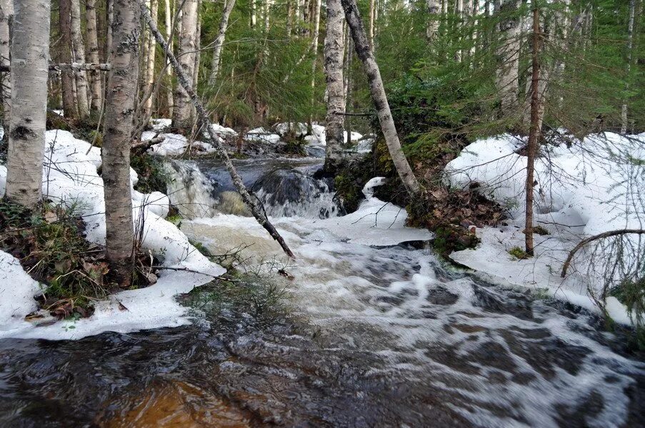 Ручей весело бежал. Ручьи весной. Ручейки весной. Весенний Ручеек.