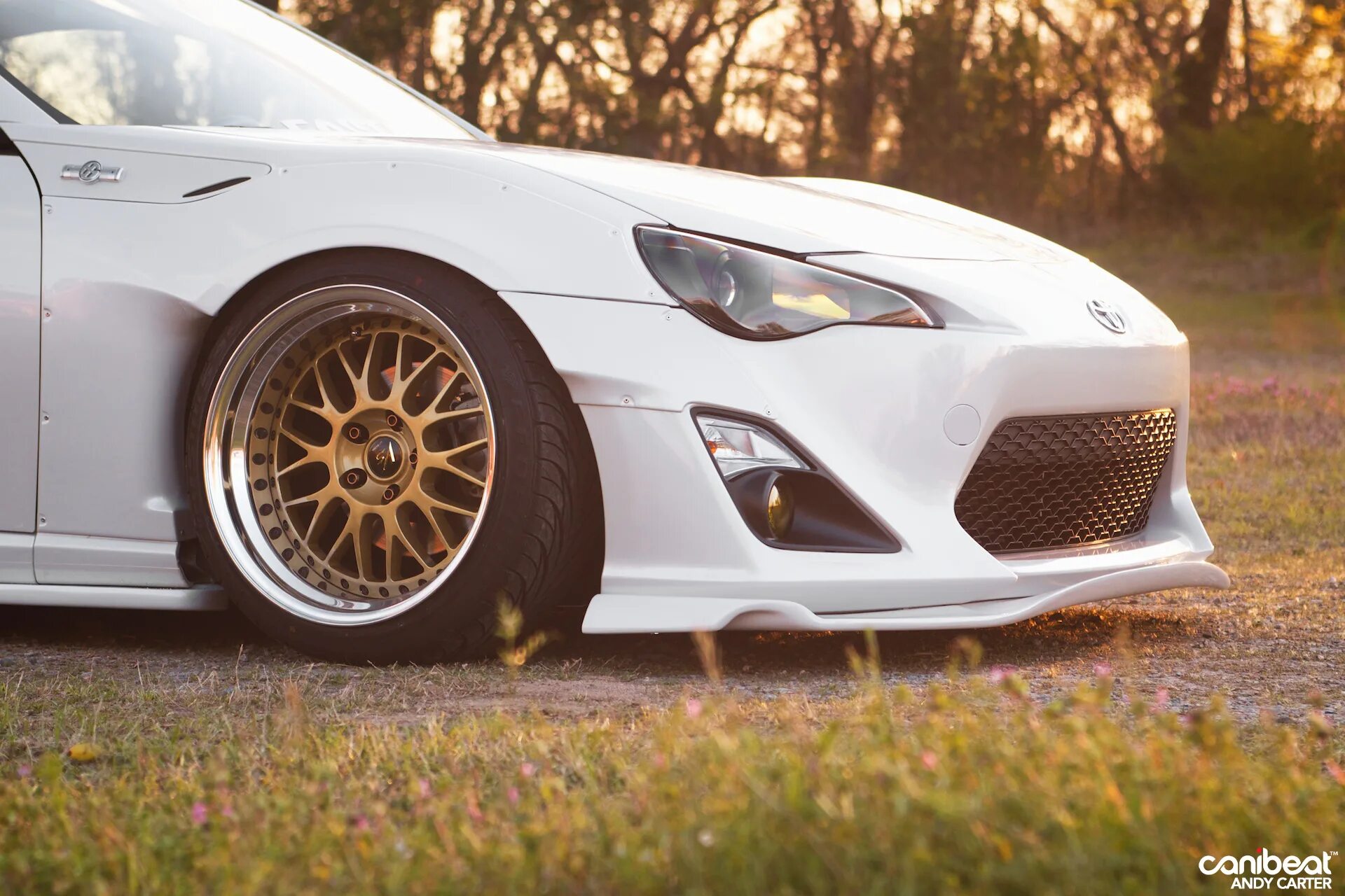 Could not build wheels for