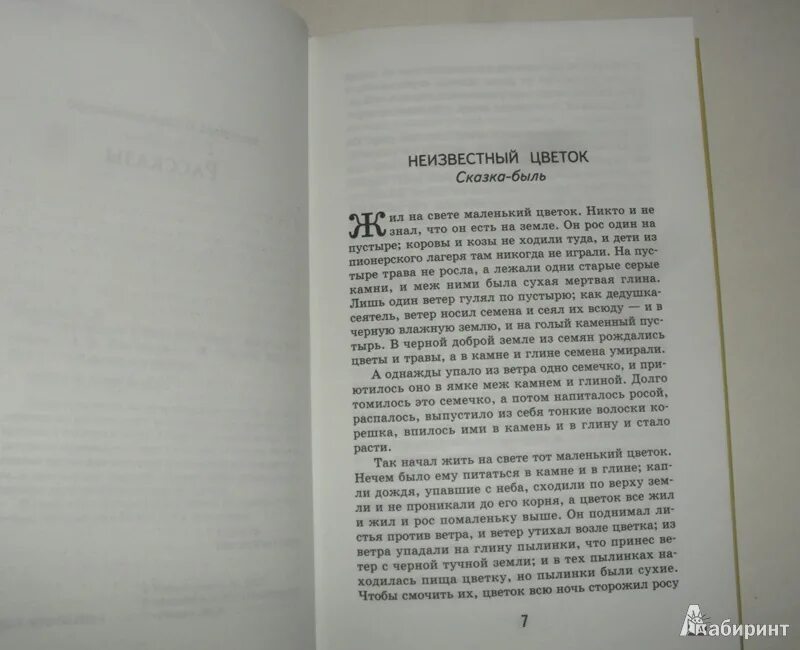 В прекрасном и яростном мире страницы. Платонов в прекрасном и яростном мире сколько страниц в рассказе. Неизвестный цветок сколько страниц.