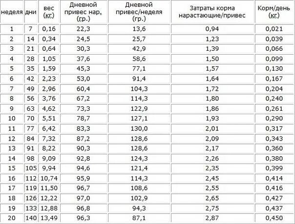 Биг 6 характеристики. Биг 6 характеристики. Таблица прироста индюков биг 6. Яйцо индюшиное грейд мейкер. Кросс биг 6 индюки.