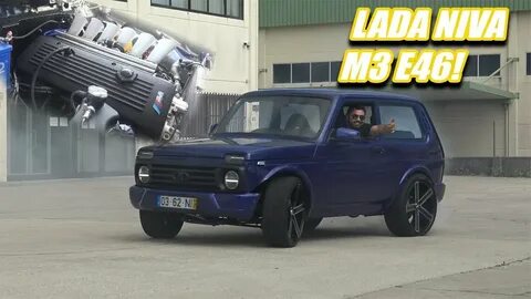 Нива ярика