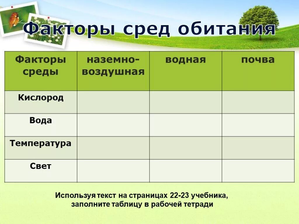 Среда обитания. Среда. Факторы среды обитания организмов. Факторы водной среды обитания.