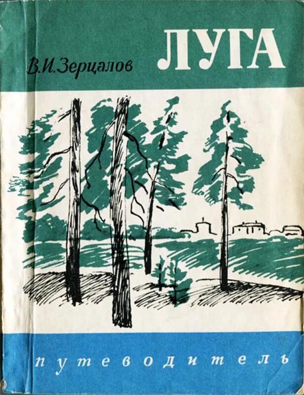 Произведения о луге. Луга путеводитель. Книга про город Луга. Книги о Луге Ленинградской области. Автор книги о Луге.