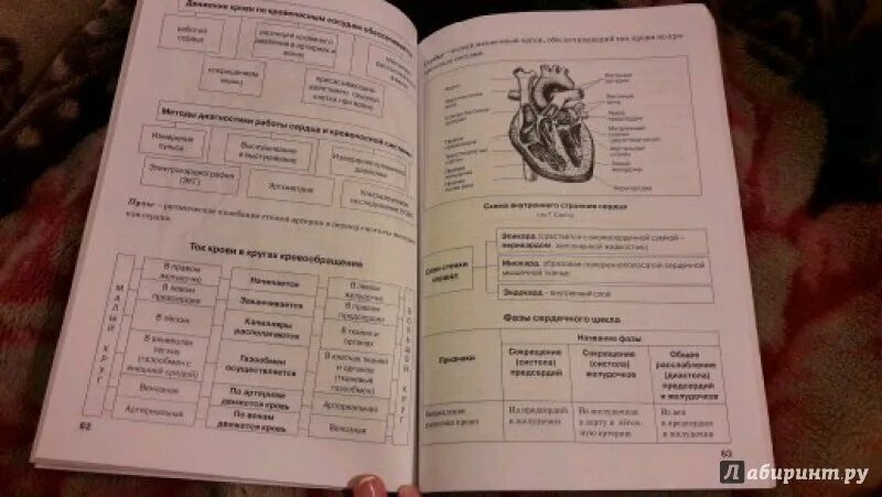 Таблицах резановой. Таблицах резановой. Таблицах резановой. Анатомия в таблицах и схемах калмин. Биология человека в таблицах рисунках и схемах.