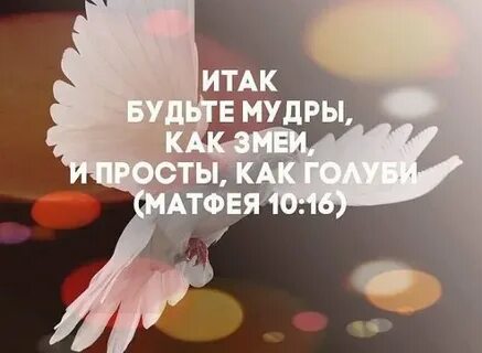 Будьте мудры как змеи