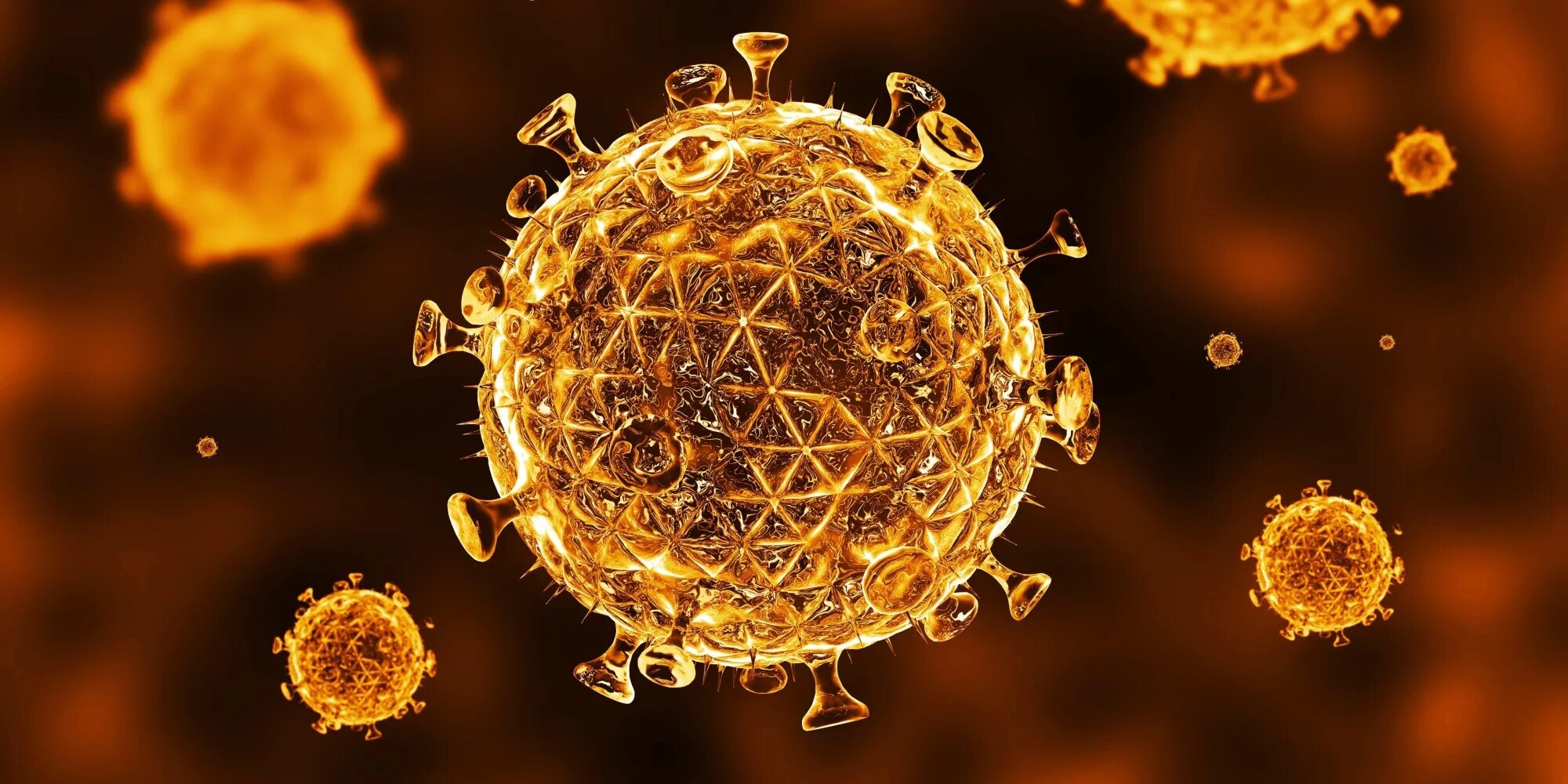 Human immunodeficiency virus. Первичный иммунодефицит это СПИД. СПИД вторичный иммунодефицит. Вирус СПИДА.