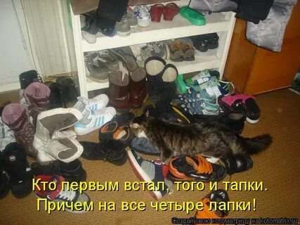 Ничего не принести