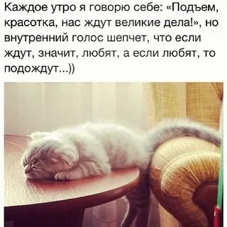 Зачем мне это утро