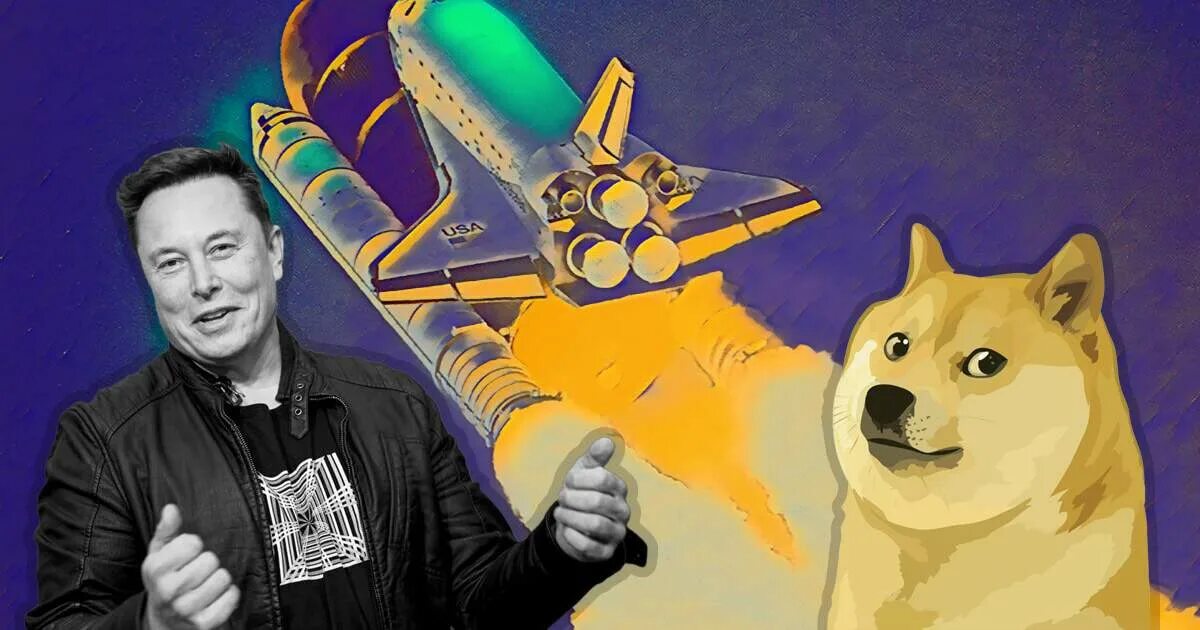 Криптовалюта догикоин. Маск коин. Маск коин. Маск коин. Илон маск с собакой.