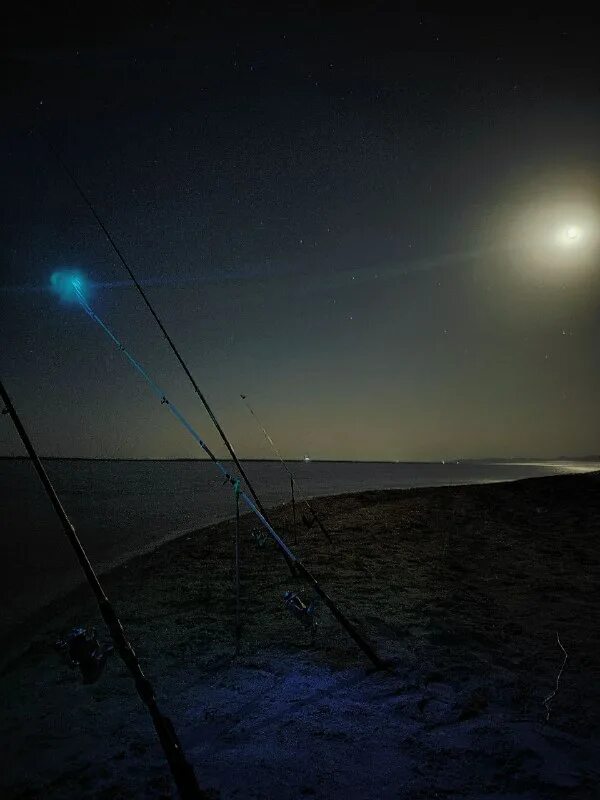 сильный ветер. полет одуванчиков. веет прохладный ветерок. ветер. летний ветерок.