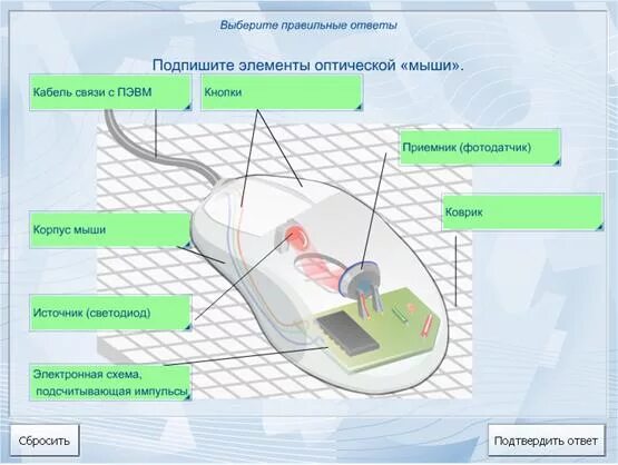 Строение половых клеток. Модуль устройства ввода информации примеры. Подпишите элементы схемы. Строение компьютерной мыши. Подпишите элементы кожи обозначенные цифрами 1.