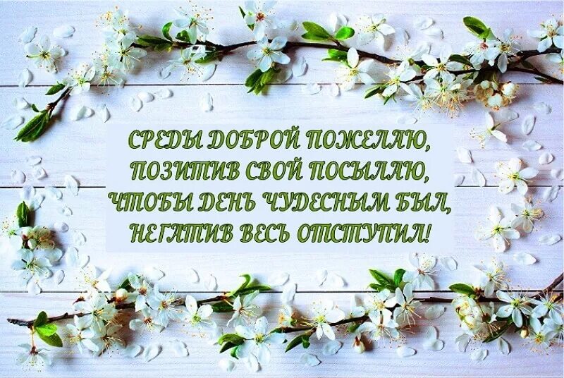 Доброе утро среда позитивные. Пожелания с добрым утром в субботу. добрый день среда весна. доброе утро среда весна март. доброе весеннее утро среды.