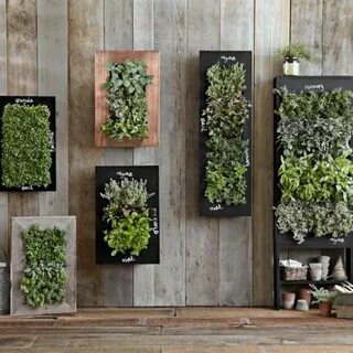 Eco plant