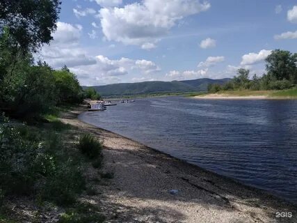 Сосенки на волге