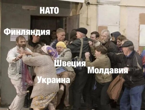 Куда без очереди. Шутки про горы. Демотиваторы кошки и собаки. Куда без очереди. Очередь картинки прикольные.