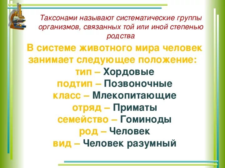 Систематическое положение человека биология. Систематическое положение человека 8 класс. Биология 8 класс систематическое положение человека. Систематическое положение человека таксоны. Определить систематическое положение человека