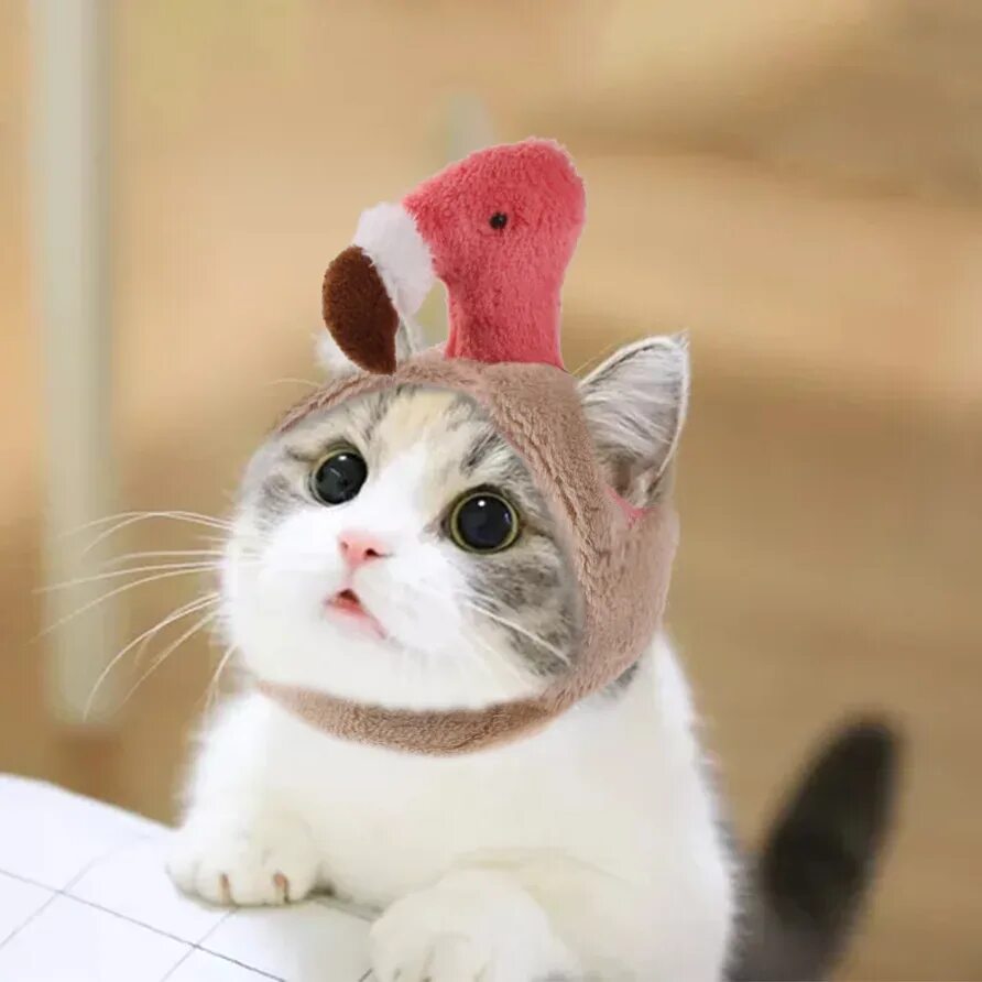 Картинка с милой надписью и котиком. Котик с сердечком. Котик с сердечком. Котик с сердечком. Котики с милыми надписями.