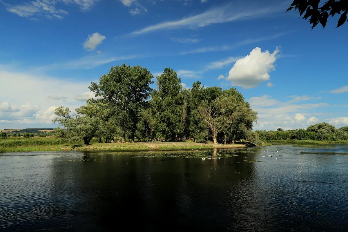 Курск природа река Сейм. Сейм (река) реки Курской области. Речка Сейм Курск. Река Сейм Курская. Курские водоемы