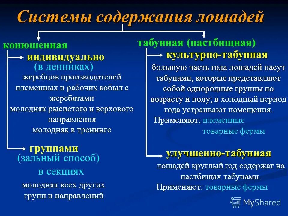 Технология разведения крупного рогатого скота. Стресс у сельхоз животных. Системы и способы содержания крупного рогатого скота. Системы и способы содержания. Метод содержание.
