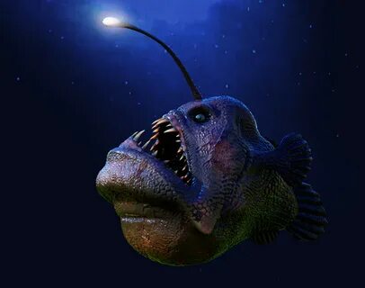 Sea devil