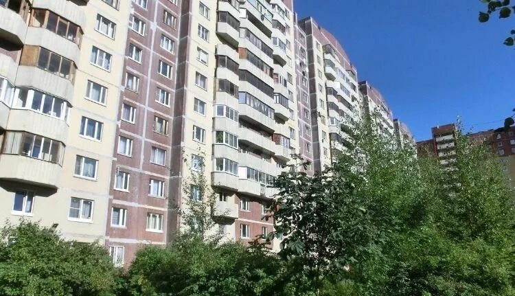 Улица камышовая 10/2 орск. Камышовая 46 к 3. Камышовая 28 к 2. Камышовой улице 28. Камышовая 46 к 1.